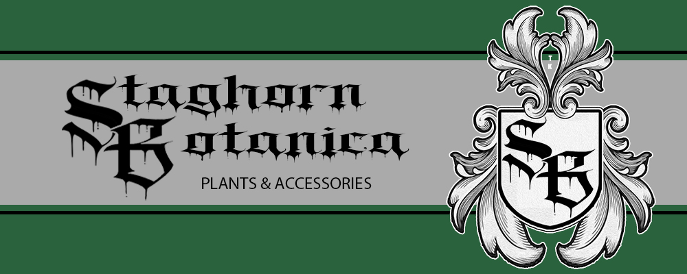 Staghorn Botanica Banner